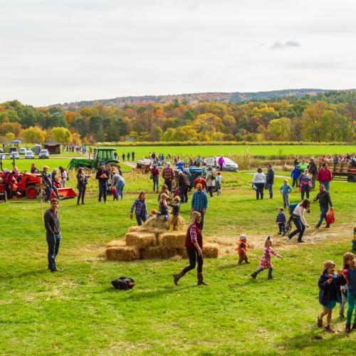Crowd in autumn field