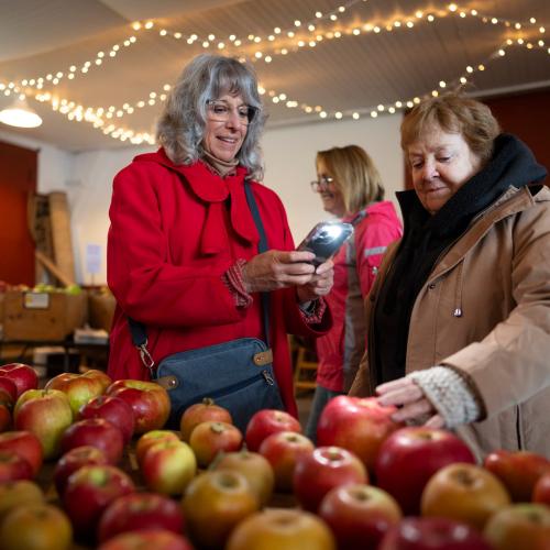 two woman looking at heirloom apple display