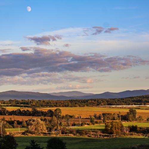 A pastoral scene of rolling hills and meadows stretching toward the Green Mountains in Addison County