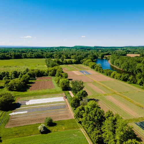 An aerial view of the fields at Diggers Mirth farm