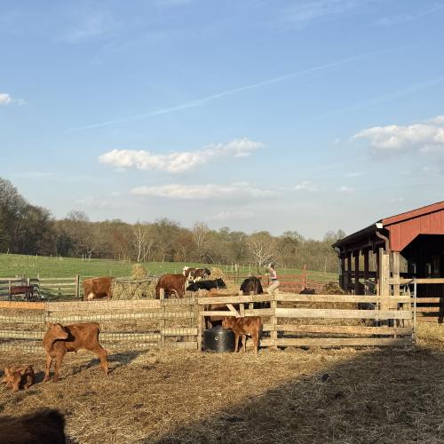 barn