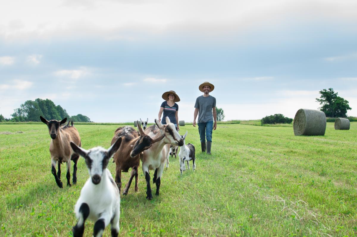 Ice House Farm Goshen, VT Chad and Morgan Beckwith