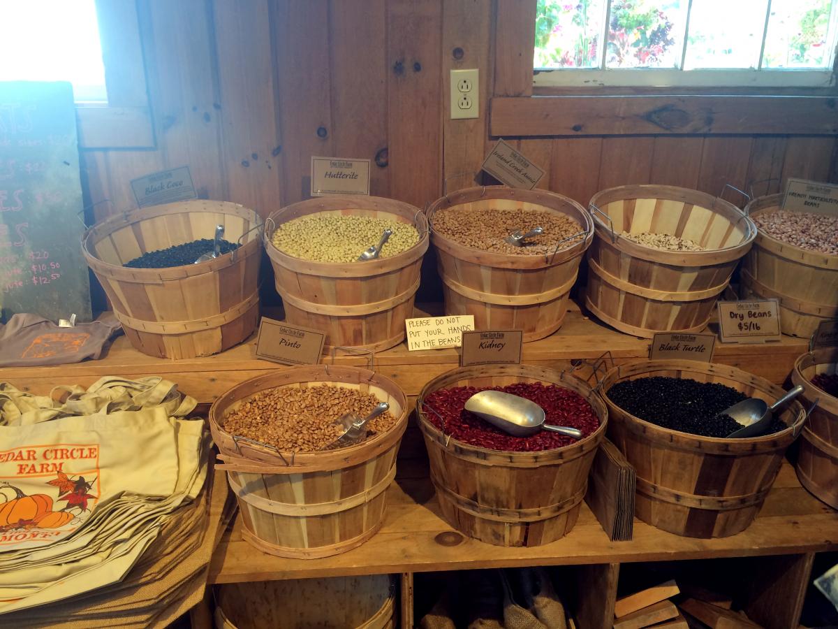 Bulk beans for sale at the farm stand at Cedar Circle Farm in E. Thetford, VT