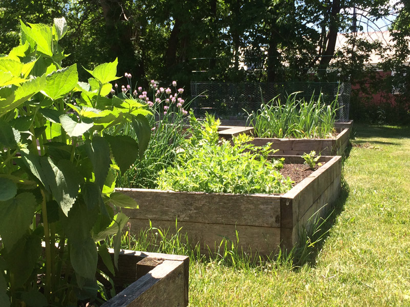 Most of the beds are already planted