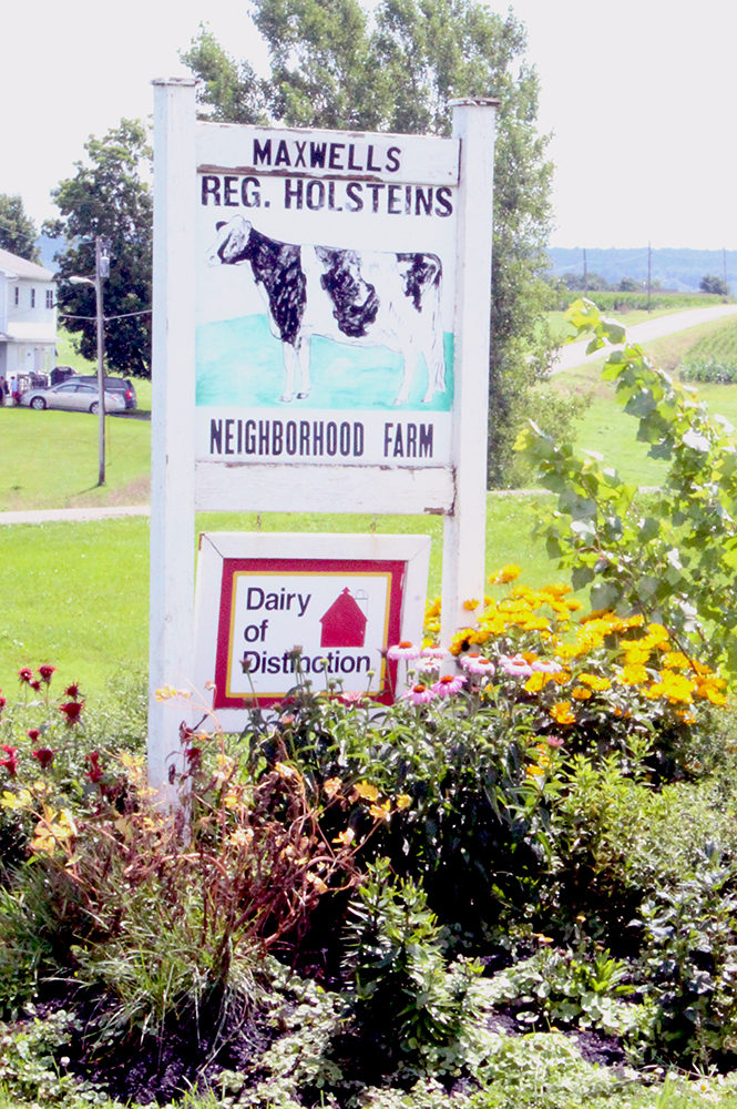 Maxwell's Neighborhood Farm