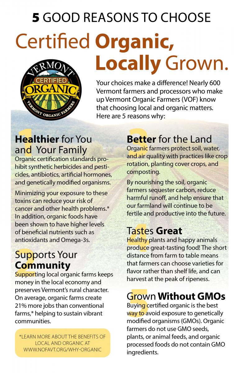 11x17 Good Reasons Poster