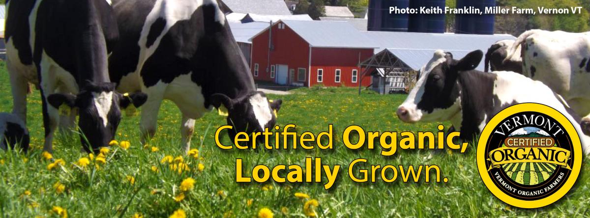 VOF Facebook image - dairy